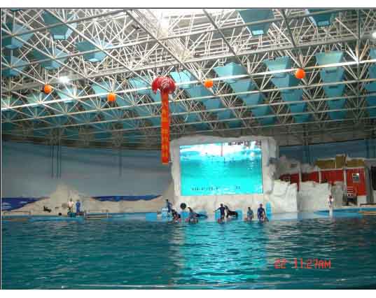 樟树游泳馆螺栓球网架