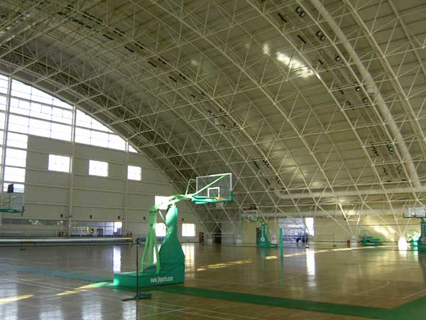 樟树篮球馆网架